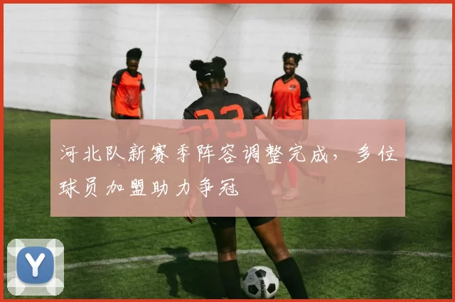 河北队新赛季阵容调整完成，多位球员加盟助力争冠