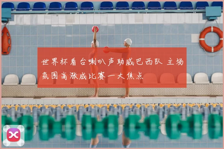 世界杯看台喇叭声助威巴西队 主场氛围高涨成比赛一大焦点