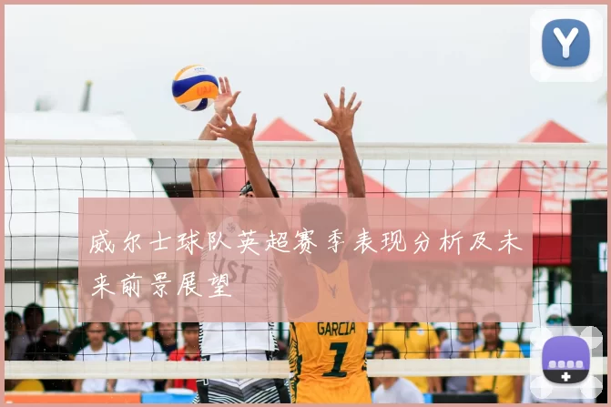 威尔士球队英超赛季表现分析及未来前景展望