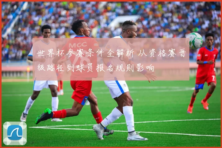 世界杯参赛条件全解析 从资格赛晋级路径到球员报名规则影响