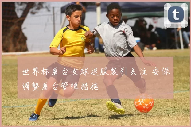世界杯看台女球迷服装引关注 安保调整看台管理措施