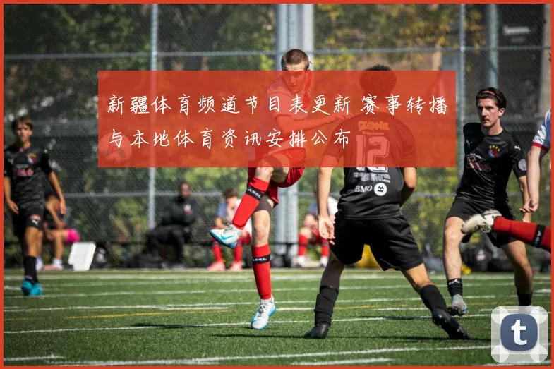 新疆体育频道节目表更新 赛事转播与本地体育资讯安排公布