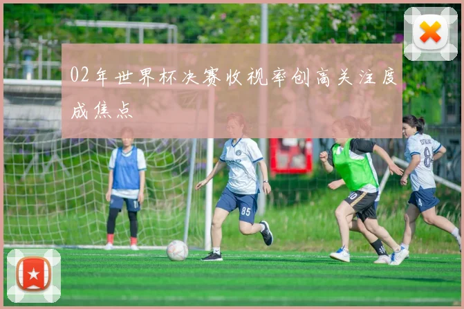 02年世界杯决赛收视率创高关注度成焦点