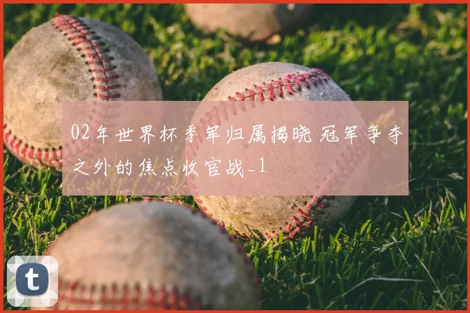 02年世界杯季军归属揭晓 冠军争夺之外的焦点收官战_1